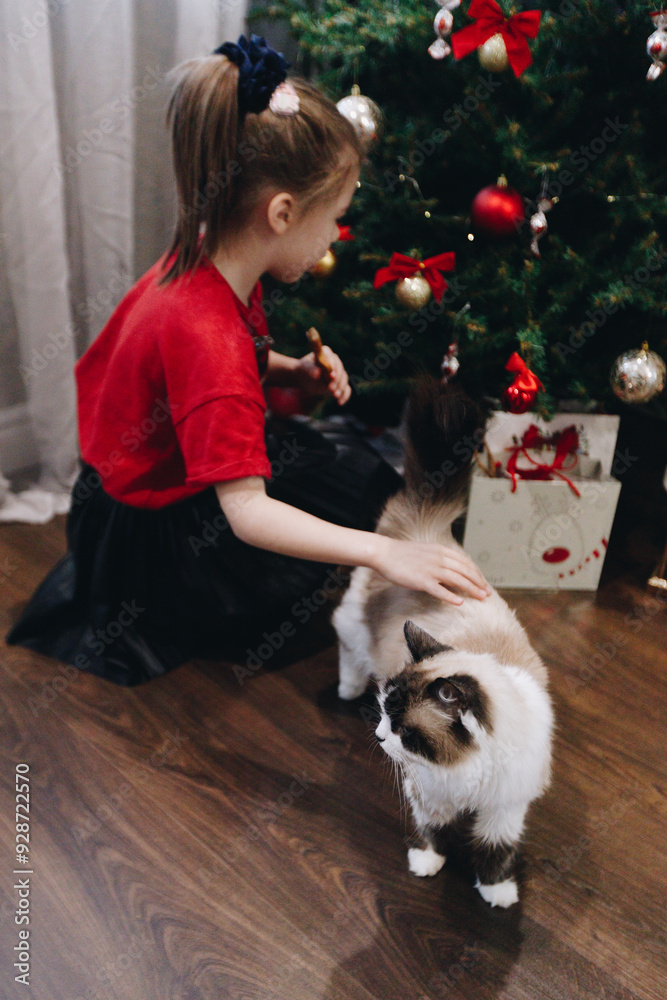 Obraz premium a caucasian 6-years girl sits near the Christmas tree with her cat on the floor at home, photo with noise effect