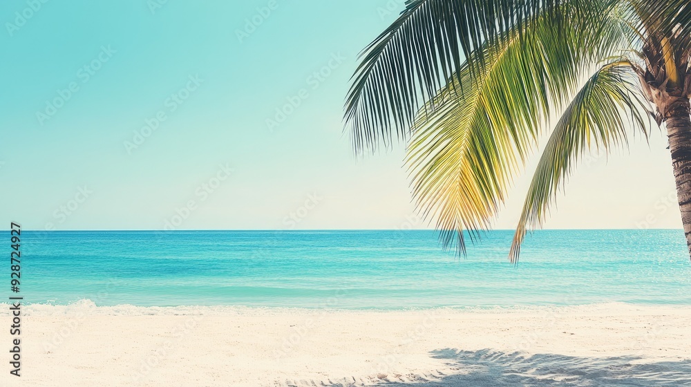 Fototapeta premium beautiful summer beach backgrounds concept