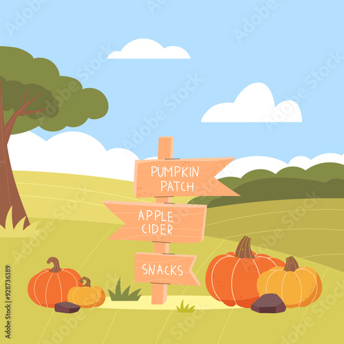 Harvest Festival. Fall festival. Wooden pointer. Pumpkins are lying on the field