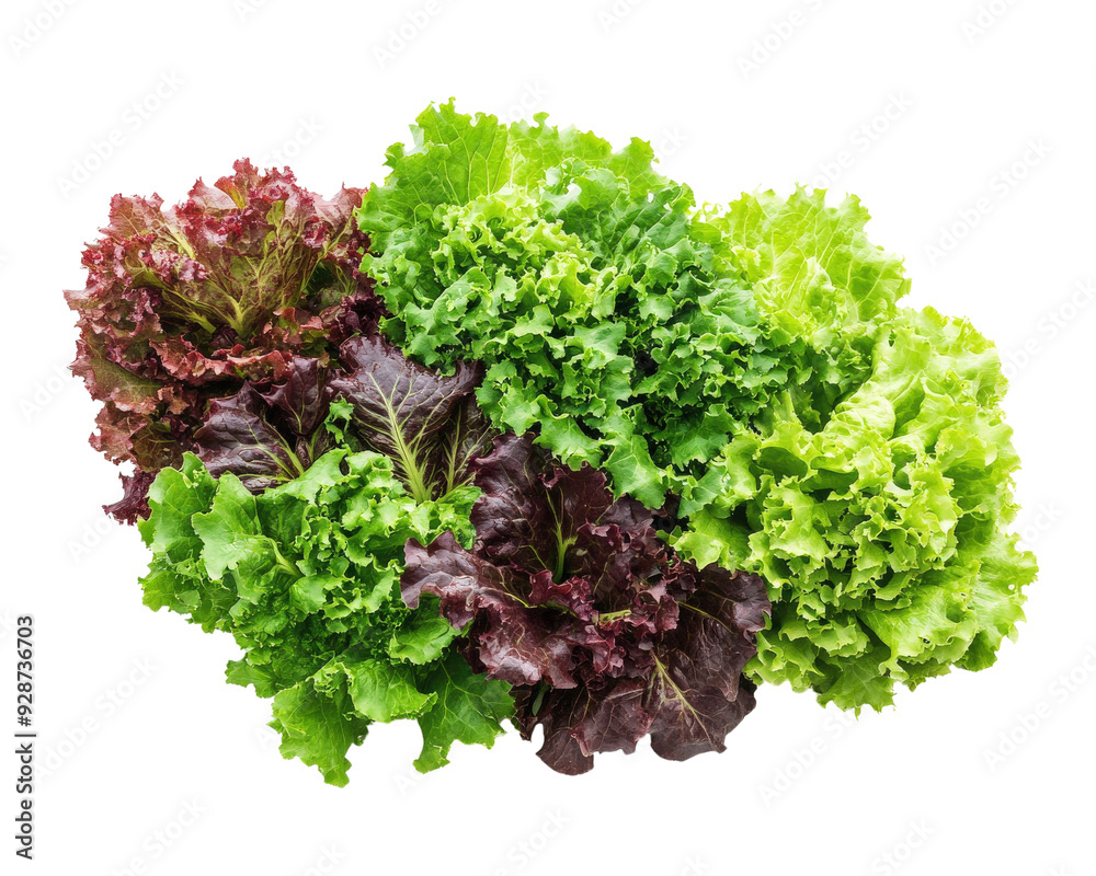 Fototapeta premium A vegetables isolated on white transparent background