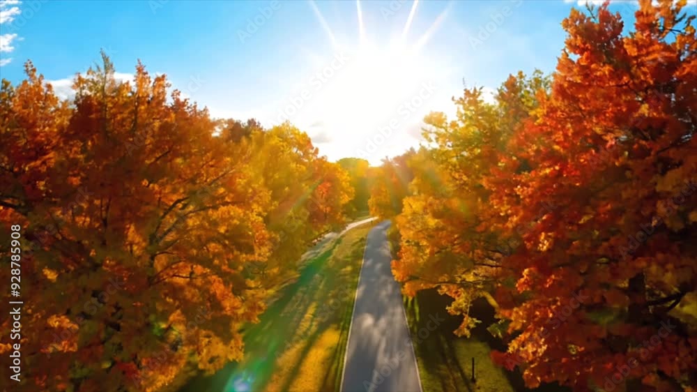 Aerial view of park pathway during autumn with colorful trees lining the route. Falling leaves create dynamic scene by drone.