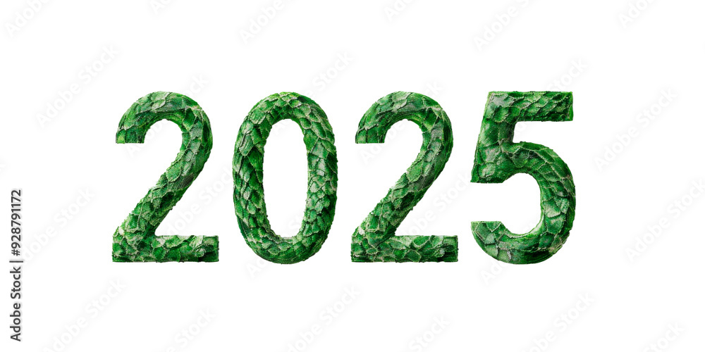 Shimmering '2025' numerals adorned with mermaid-scale texture in vibrant green, perfect for themes related to the future, underwater concepts, or new beginnings. Shimmering '2025' numerals adorned with mermaid-scale texture in vibrant green, perfect for themes related to the future, underwater concepts, or new beginnings.