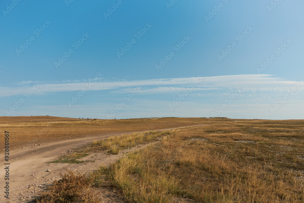 Scenic dirt road through field with blue sky background, ideal for travel and nature concepts Scenic dirt road through field with blue sky background, ideal for travel and nature concepts
