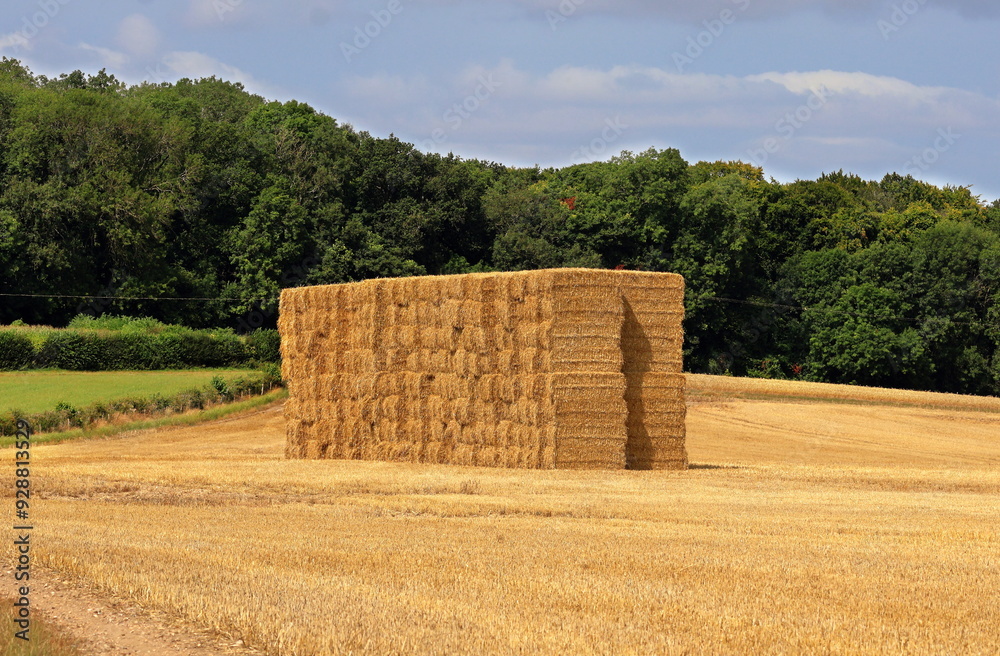 Agriculture - Bales of Hay in a Chiltern landscape