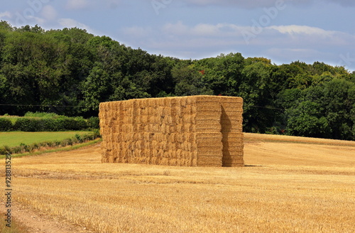 Obraz na płótnie Agriculture - Bales of Hay in a Chiltern landscape w salonie