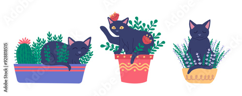 Cartoon Color Characters Cats in Pots and Plant Flowers Box Set Concept Flat Design Style. Vector illustration photo