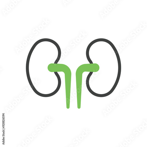 Kidney vector icon