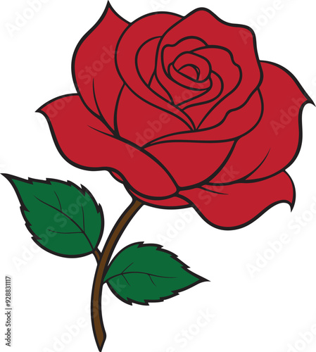 red rose hand drawn Vector cut out illustration clipart isolated on transparent background.