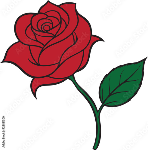 red rose hand drawn Vector cut out illustration clipart isolated on transparent background.