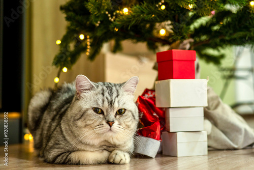 Cozy Christmas Moments: A Content Cat Nestled Among Colorful Gifts Beneath the Twinkling Tree, Embracing the Holiday Spirit with Warmth and Joy.