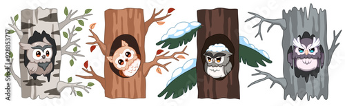 Cute birds in hollows. Owls in trees, cartoon funny nocturnal birds of prey, parts of trunks with branches and leaves, winter and summer season, cartoon flat isolated tidy vector set