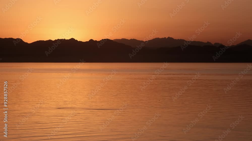 Tripod shot of Red Sea with a flock of small fish jumping out of the water and mountains of Saudi Arabia at sunrise. View from Dahab, Egypt. Tripod shot of Red Sea with a flock of small fish jumping out of the water and mountains of Saudi Arabia at sunrise. View from Dahab, Egypt.