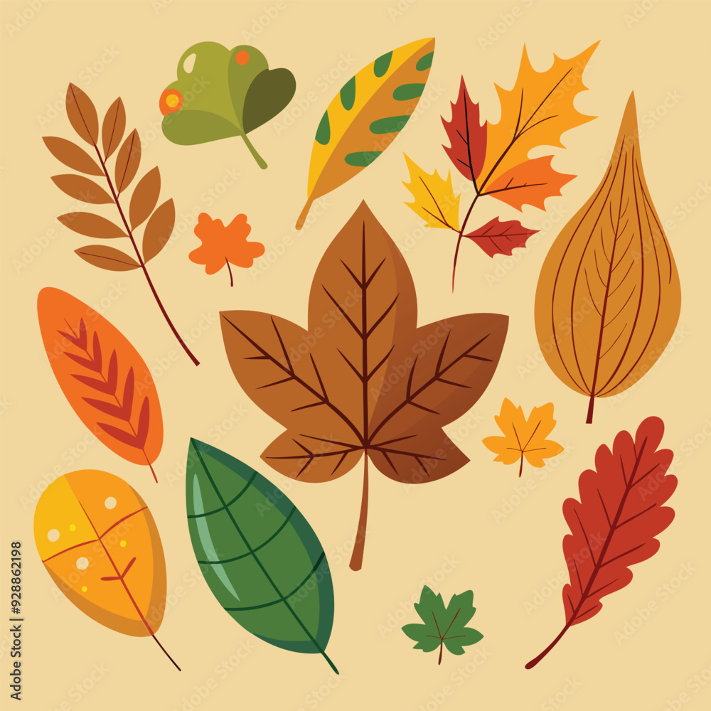 Fototapeta premium Autumn leaf leaves vector set element illustration.