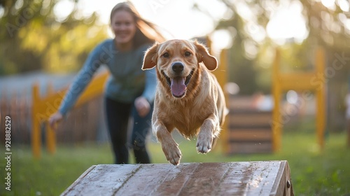 A lively dog joyfully jumps off an obstacle while its owner cheers on during a training session in a park at sunset