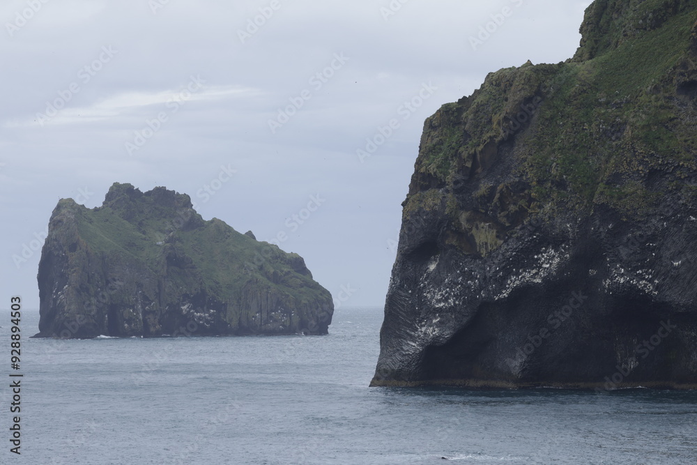 Fototapeta premium Halldórsskora (Elephant Rock), Iceland