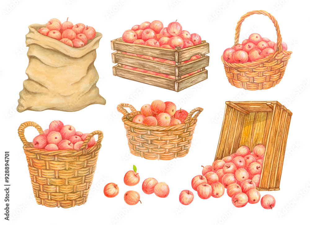 Containers for collecting and storing harvest. Canvas sack of apples. Old wooden crates with fruits. Watercolor wicker baskets full of crop. Set of isolated hand drawn farmers market or garden clipart Containers for collecting and storing harvest. Canvas sack of apples. Old wooden crates with fruits. Watercolor wicker baskets full of crop. Set of isolated hand drawn farmers market or garden clipart
