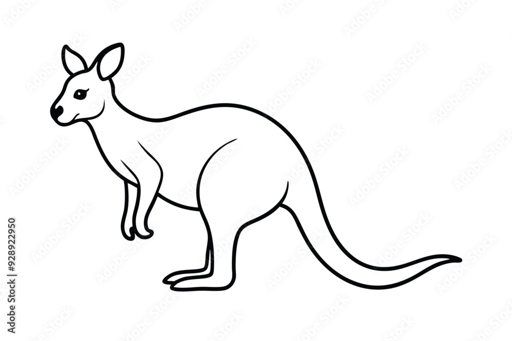 kangaroo line art vector illustration kangaroo line art vector illustration