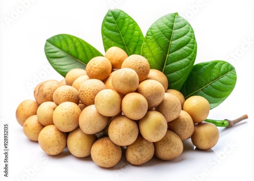 Fresh Long Gong fruit, also known as Lansium parasiticum, with olive-green leaves, isolated on a white background, showcasing its unique shape and vibrant colors. photo