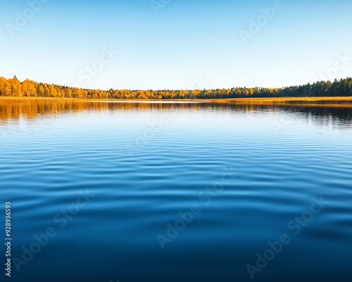 Calm blue lake water with fall foliage trees reflected in the water.