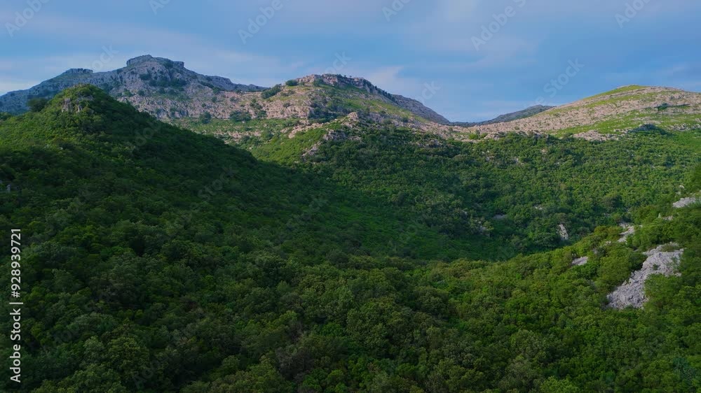 Panoramic view from a drone of the spring landscape on Mount Candina in the village of Liendo. Liendo Valley, Eastern Coastal Mountains, Cantabrian Sea, Cantabria, Spain, Europe Panoramic view from a drone of the spring landscape on Mount Candina in the village of Liendo. Liendo Valley, Eastern Coastal Mountains, Cantabrian Sea, Cantabria, Spain, Europe
