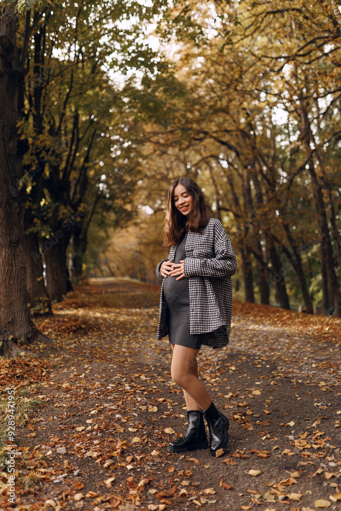 Beautiful pretty young pregnant woman in dress and coat outdoors in autumn park, happily expecting baby, happy moment, smiling and hugging her belly Beautiful pretty young pregnant woman in dress and coat outdoors in autumn park, happily expecting baby, happy moment, smiling and hugging her belly