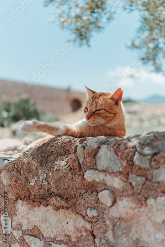 Rethymno Travel Teal+Orange