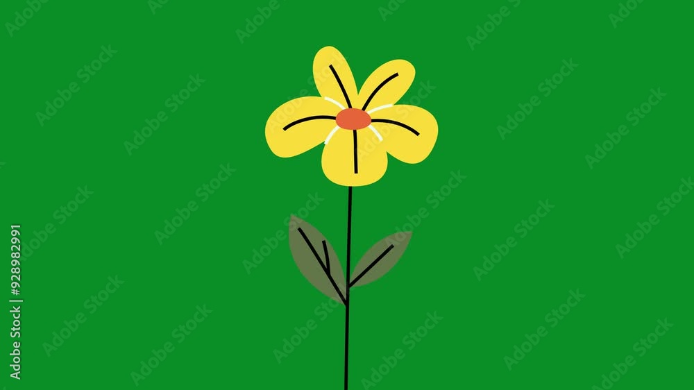 Cartoon blossom flower animation on green screen. The cartoon flower is blooming animation with key color. 4K video Cartoon blossom flower animation on green screen. The cartoon flower is blooming animation with key color. 4K video