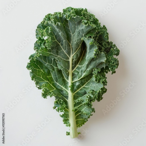 a high-resolution image of a freshly picked broccoli leaf. photo