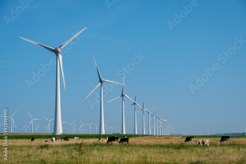 Serene Windmill Park With Grazing Cows Under Clear Blue Skies in the Netherlands