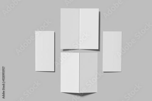 dl bifold brochure blank mockup