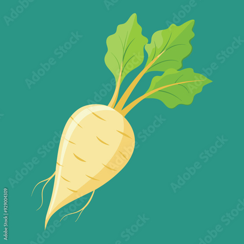 illustration of a parsnip, radish, kohlrabi vegetable
