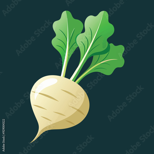 illustration of a parsnip, radish, kohlrabi vegetable