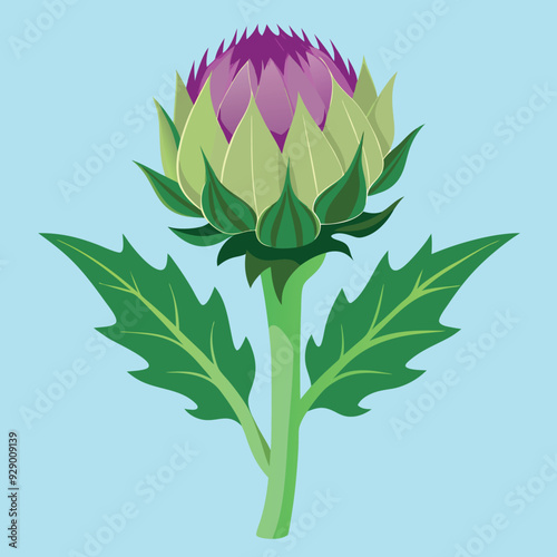 Εκτύπωση καμβά illustration of fresh green cardoon flower, artichoke vegetables