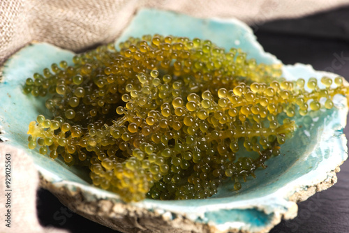 Caulerpa lentillifera seaweed is a species of bryopsidale green algae photo