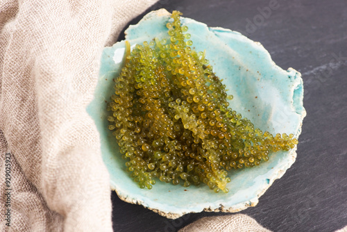 Caulerpa lentillifera seaweed is a species of bryopsidale green algae photo