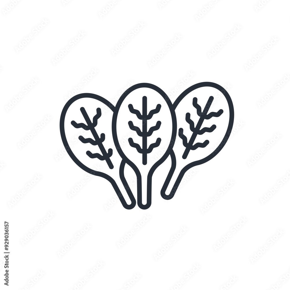 spinach icon. vector.Editable stroke.linear style sign for use web design,logo.Symbol illustration. spinach icon. vector.Editable stroke.linear style sign for use web design,logo.Symbol illustration.