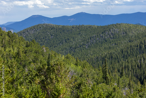 Colorado Mountain Forests, Colorado Backcountry