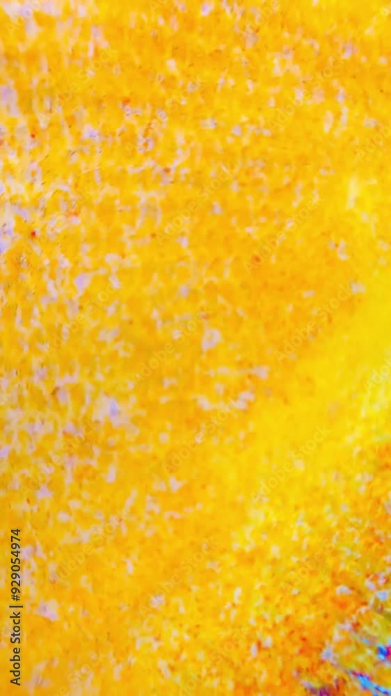 4K This clip features brightly colored discus fish swimming in an aquarium. Discus fish, known for their distinctive round, laterally compressed bodies and vibrant colors, are popular pompadour 4K This clip features brightly colored discus fish swimming in an aquarium. Discus fish, known for their distinctive round, laterally compressed bodies and vibrant colors, are popular pompadour