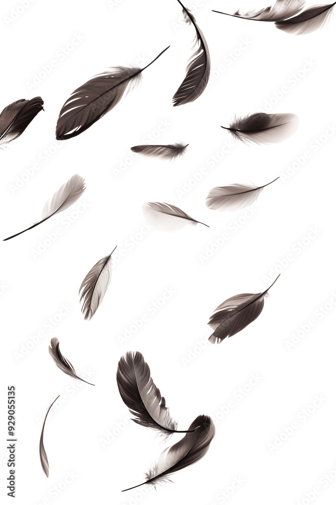 Obraz premium Goose feathers falling on the air on transparent background