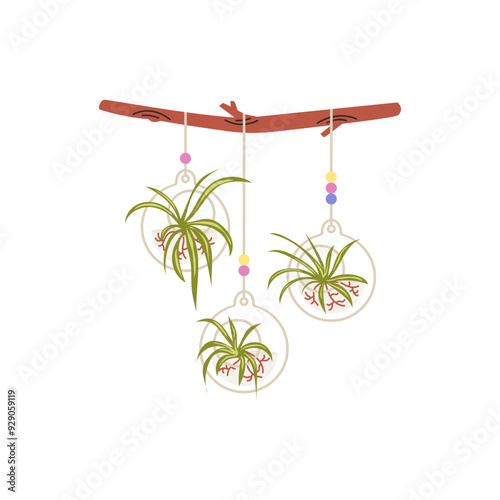 Macrame hangers for plants growing in pots on a wooden stick, vector houseplant hang on rope, decorative indoor flowers