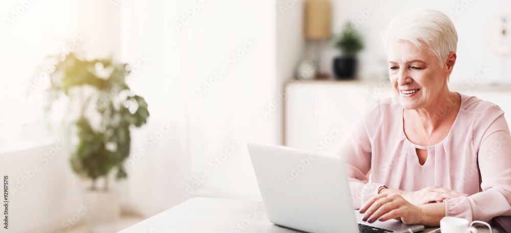 Smiling senior business woman looking at laptop, working from home, panorama with empty space Smiling senior business woman looking at laptop, working from home, panorama with empty space
