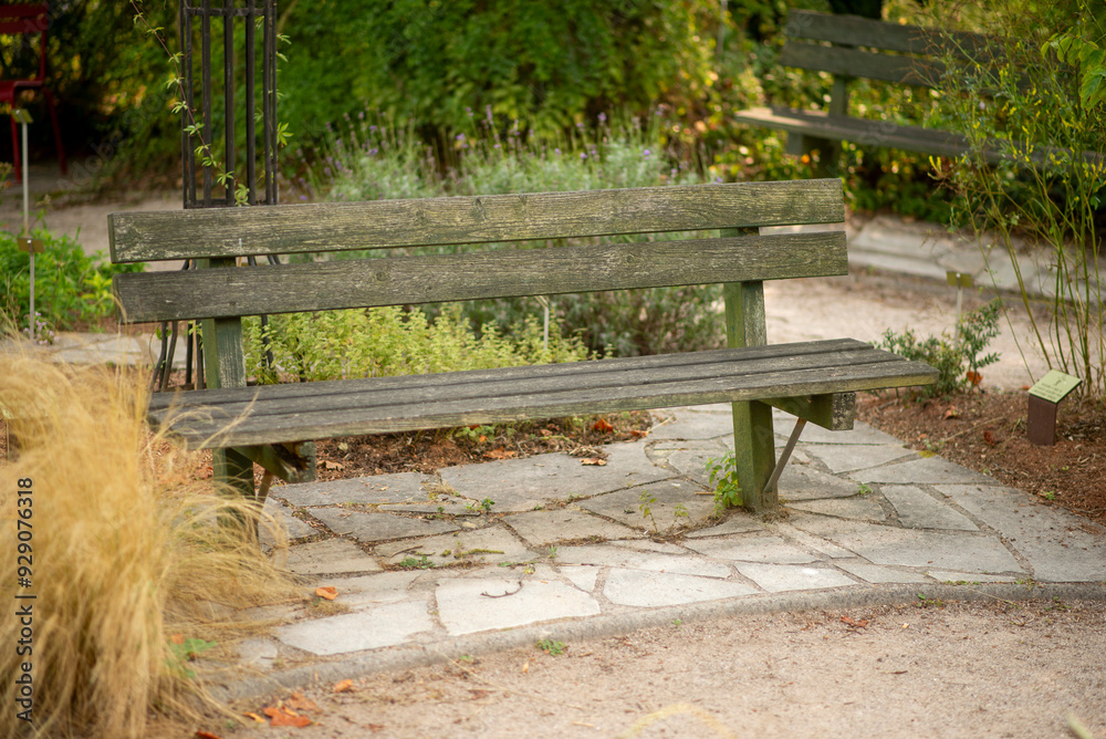 Peaceful Park Bench in Lush Garden Setting with Pathway and Greenery Peaceful Park Bench in Lush Garden Setting with Pathway and Greenery