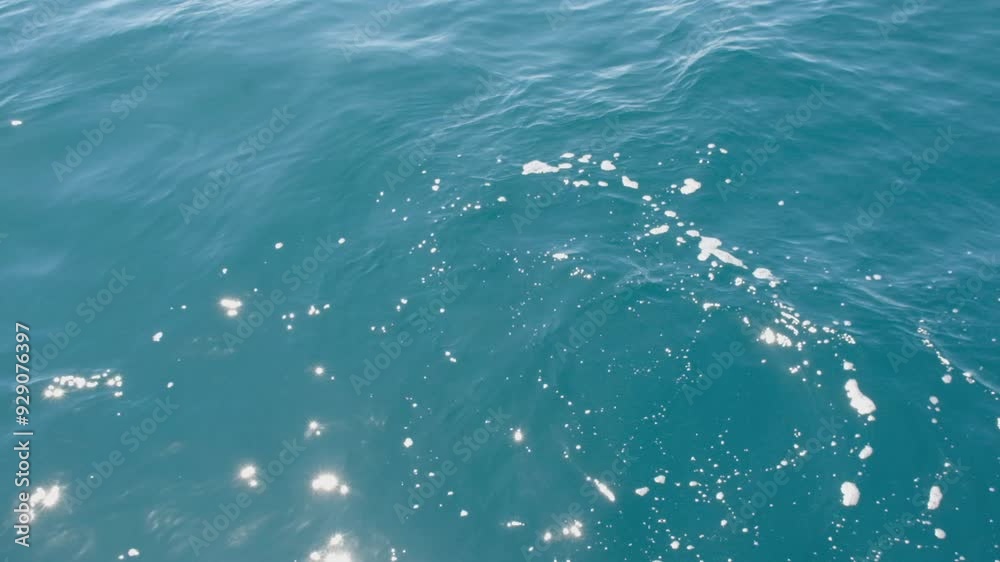 transparent turquoise water sea water with waves from a boat, shooting from a boat on the move, top view, slow motion transparent turquoise water sea water with waves from a boat, shooting from a boat on the move, top view, slow motion