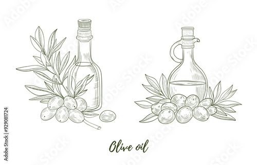Set of vector olive oil bottles with olives and olive branch line art illustration, graphic line art. Elegant line botanical illustration. Great for any designs, textile, art, walls, package