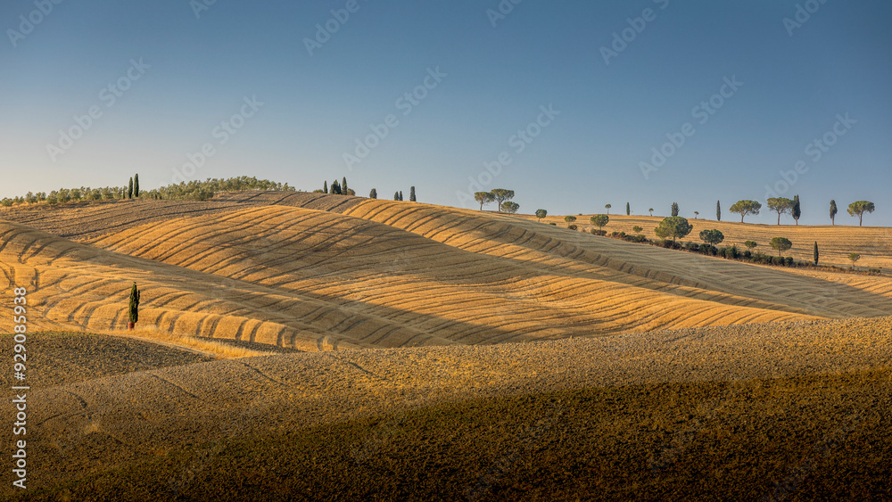 Fototapeta premium Asciano, Italy - July 25, 2023: Tuscan landscape. One of the most famous location in Tuscany, near Asciano (Siena). Italy