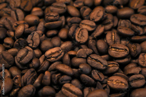 A close-up of roasted coffee beans, showcasing their rich brown color and texture, perfect for highlighting the essence of fresh coffee.