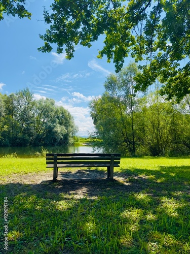 bench in the park