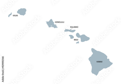 Hawaii, U.S. state, gray political map with county names. Island state of the United States in the Pacific Ocean, subdivided into the 5 counties Hawaii, Honolulu, Kalawao, Kauai and Maui. Aloha State.
