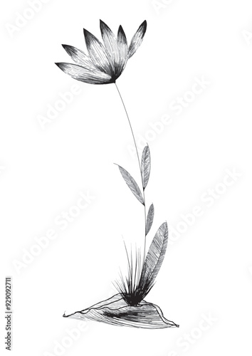 Flor sencilla 