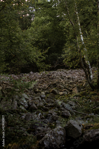 fiume di rocce